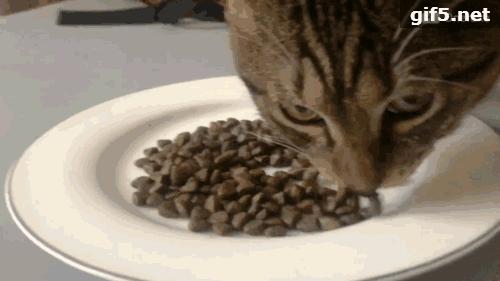 海洋之星superior测评,海洋之心一代真实测评