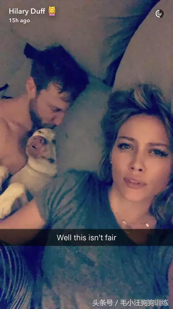 养了这么久的狗竟然又初恋了,养了多年的狗突然接近我