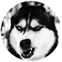 甜到爆的恋爱日常手绘,手绘情侣日常恋爱日记