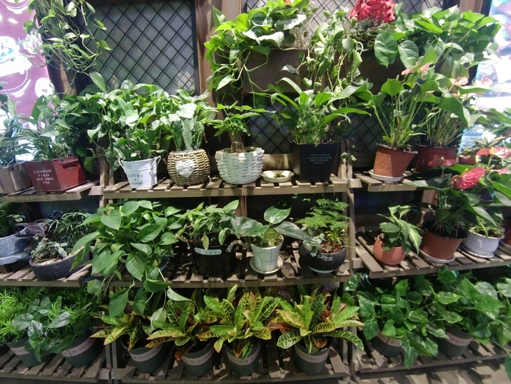 小蚁运动相机4klite测评,小蚁运动相机哪款比较好