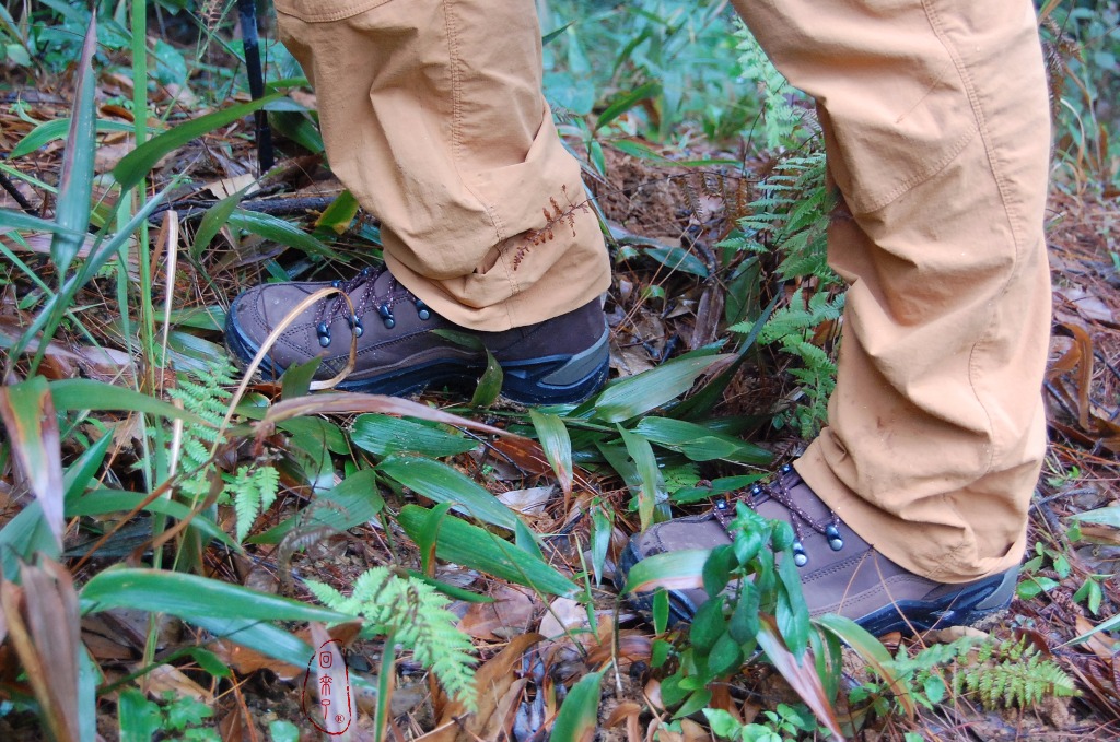 实测LOWA经典登山鞋RENEGADE,让我更从容面对自然