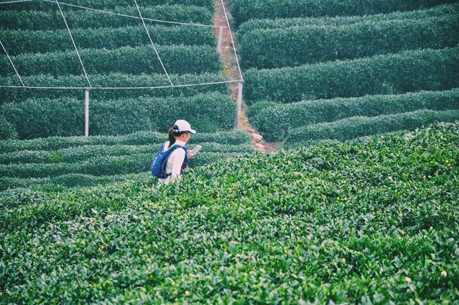 翻山越岭都找不到爱,翻山越岭找不到自己
