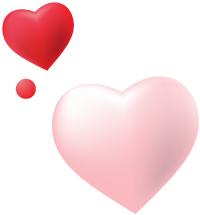 关于刺猬的问题有哪些,关于刺猬的生活常识