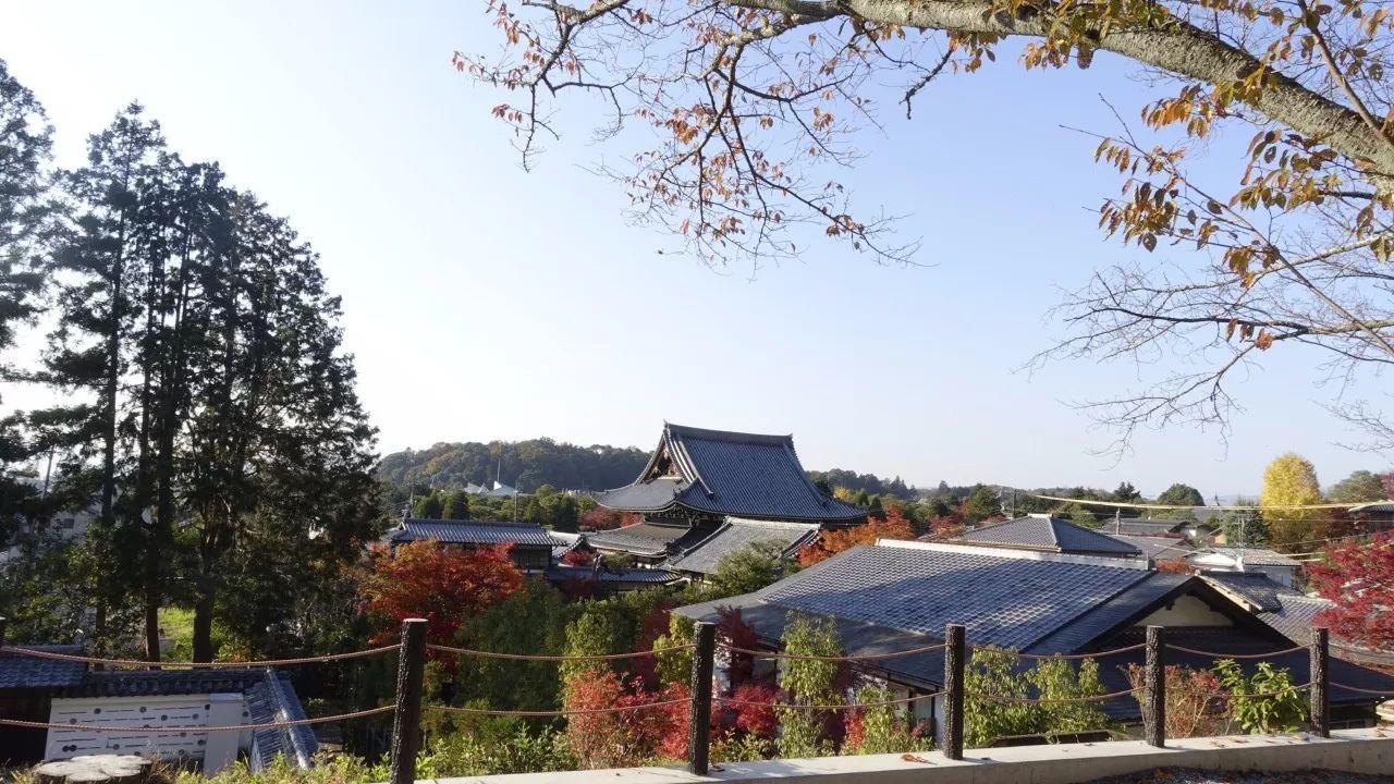 关西旅游攻略,日本关西自由行全程攻略