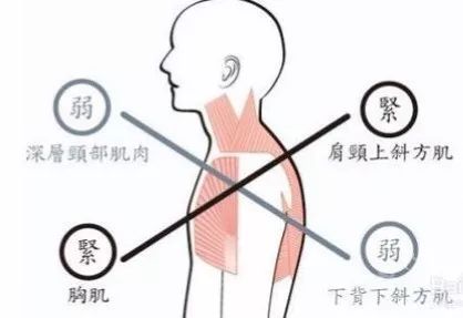 常坐办公室最好的健身方式,适合办公室久坐的健身动作