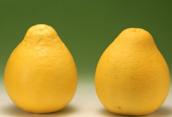 吃健康的食物的重要性,吃健康的食物保持健康