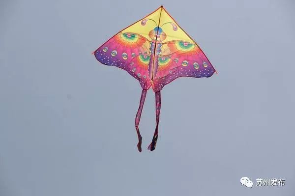 今天苏州发生的事,昨天的苏州新闻事件