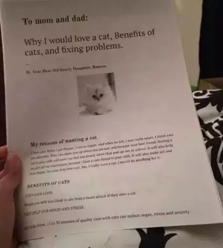 圣诞节心愿怎么写,圣诞节愿望清单素材