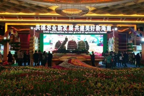 供销合作社改革发展论坛,供销创新发展主题论坛