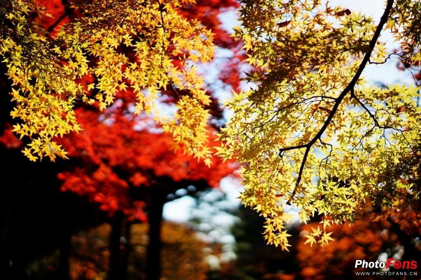 eosm6杩炵画鎷嶆憚,浣宠兘eosm6