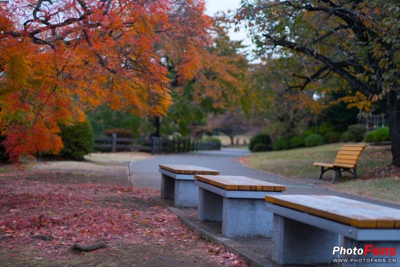 eosm6杩炵画鎷嶆憚,浣宠兘eosm6