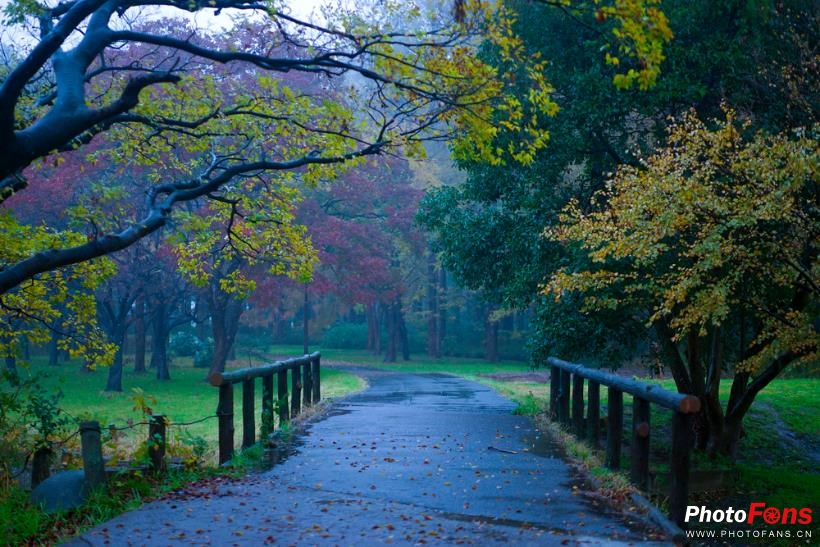 eosm6杩炵画鎷嶆憚,浣宠兘eosm6