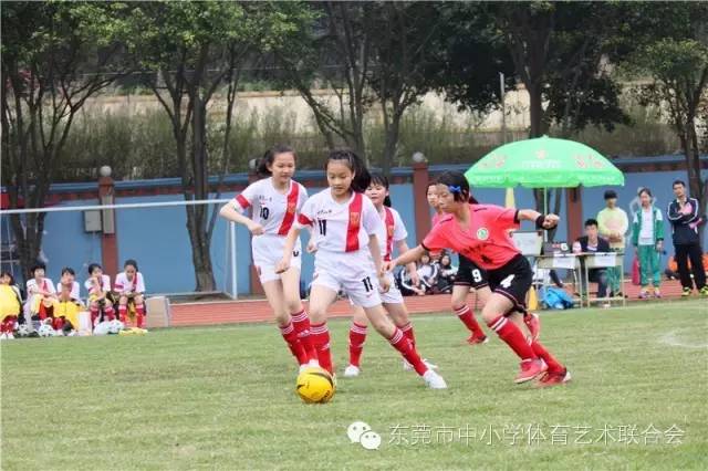 东莞市小学生足球比赛直播,2019东莞小学生篮球争霸赛