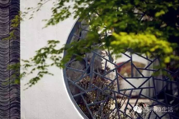 园博园花海在哪个位置,园博园花海现在还有么