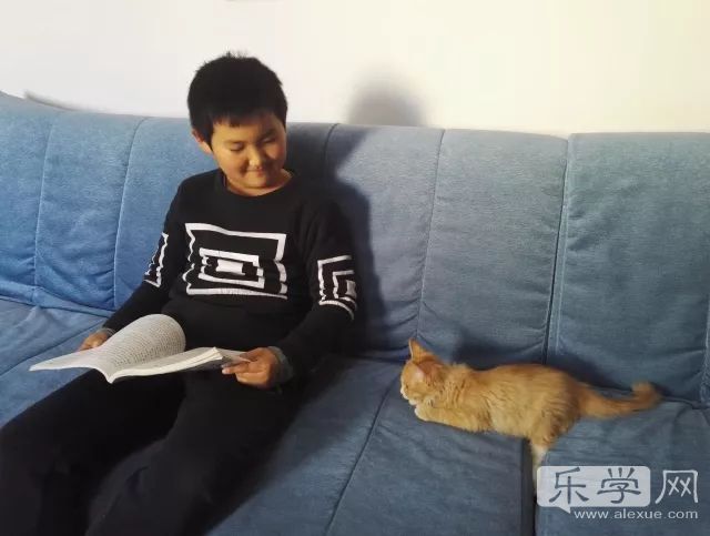 我的家教故事作文,我的家教故事家长征文美篇