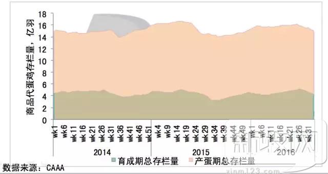 2020年中国蛋鸡业的规模,蛋鸡行业分析报告