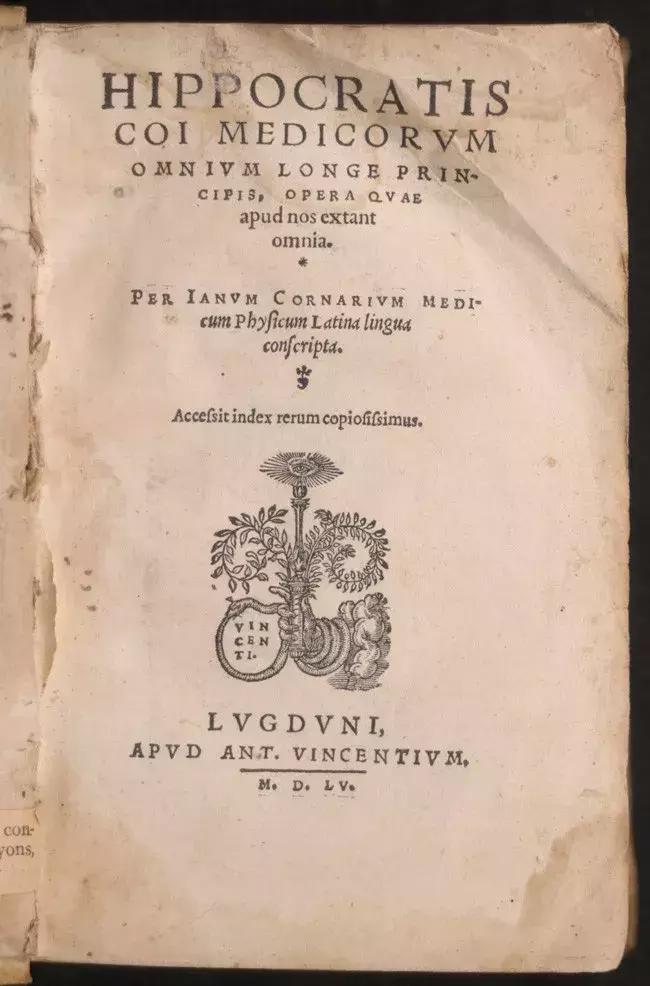 穿好奶奶织的毛裤，你依旧无法避免与风湿膏药共度晚年