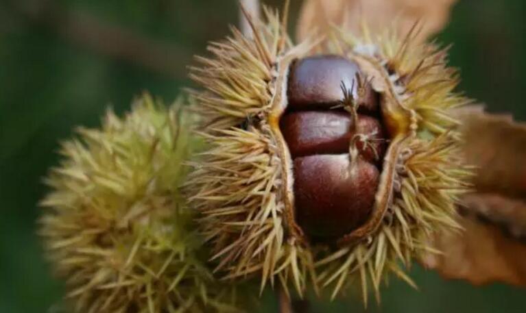 中国最牛的一个省会,中国最牛的一个县城