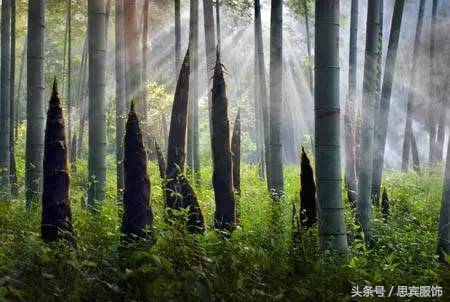 童装连锁店10大品牌免费铺货,中童男童装8-16岁潮牌怎样做陈列