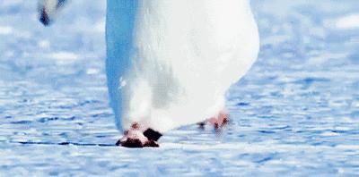 山西晋城2020年第一场雪,晋城立冬后的第一场雪要来了