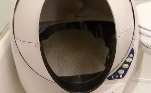 养猫如何不铲屎,什么猫不用铲屎呢