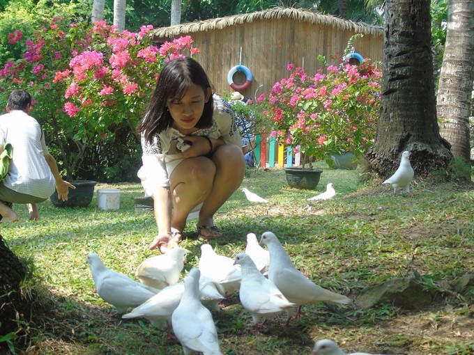 在冬季里享受一下三亚夏日的海风,来享受三亚夏日与海风