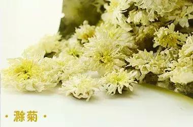 四大名菊之首,四大名菊墨菊