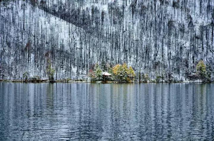 一下雪峨眉山就成了仙境,一下雪川西便美成了天堂