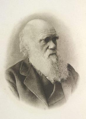 当今动物的进化,世界上100种动物的进化史