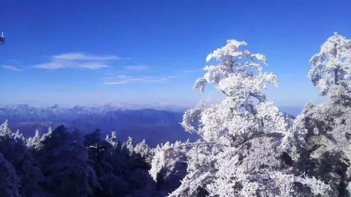 一下雪峨眉山就成了仙境,一下雪川西便美成了天堂