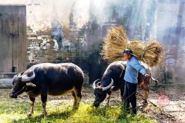 连州雪景旅游区,粤北连州风景
