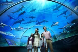 全球最适合3-18岁孩子旅游度假胜地