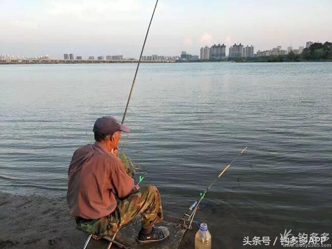 新手钓鱼一学就会,学钓鱼没点狠劲还真不行