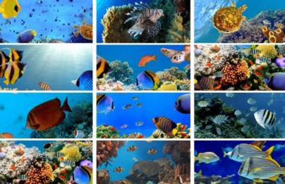 全球最适合3-18岁孩子旅游度假胜地