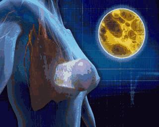 这一物几乎人人爱吃,但老中医却不碰……