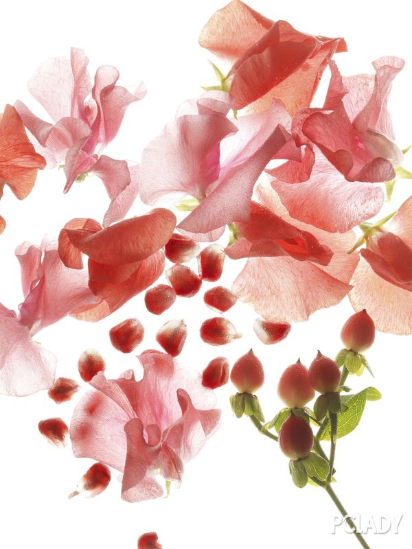 宝格丽omnia系列,宝格丽omnia红水晶