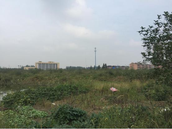 武林商圈房价,杭州市武林商圈房价