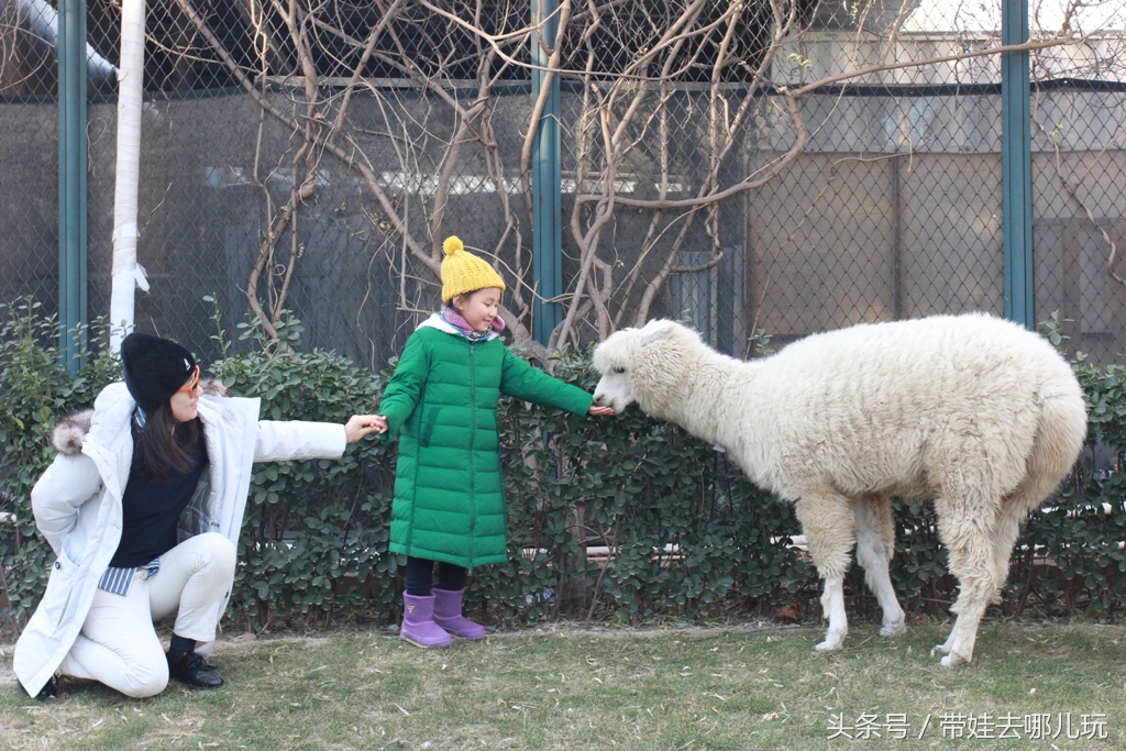 奥森附近小动物乐园,奥森公园世外桃源