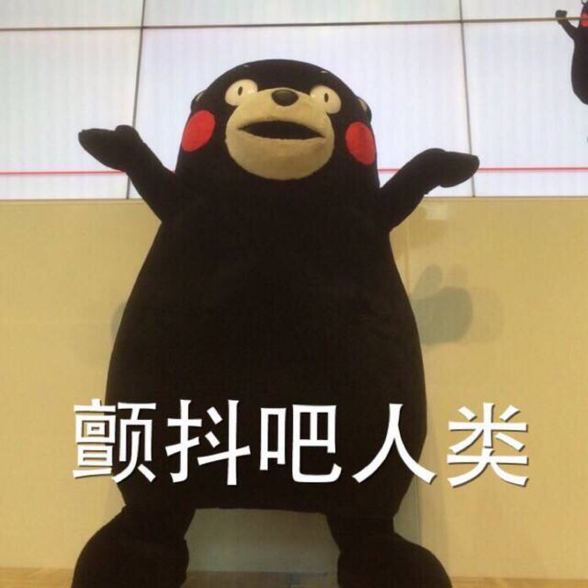 把动画片名翻译成中文，真的全都是套路！