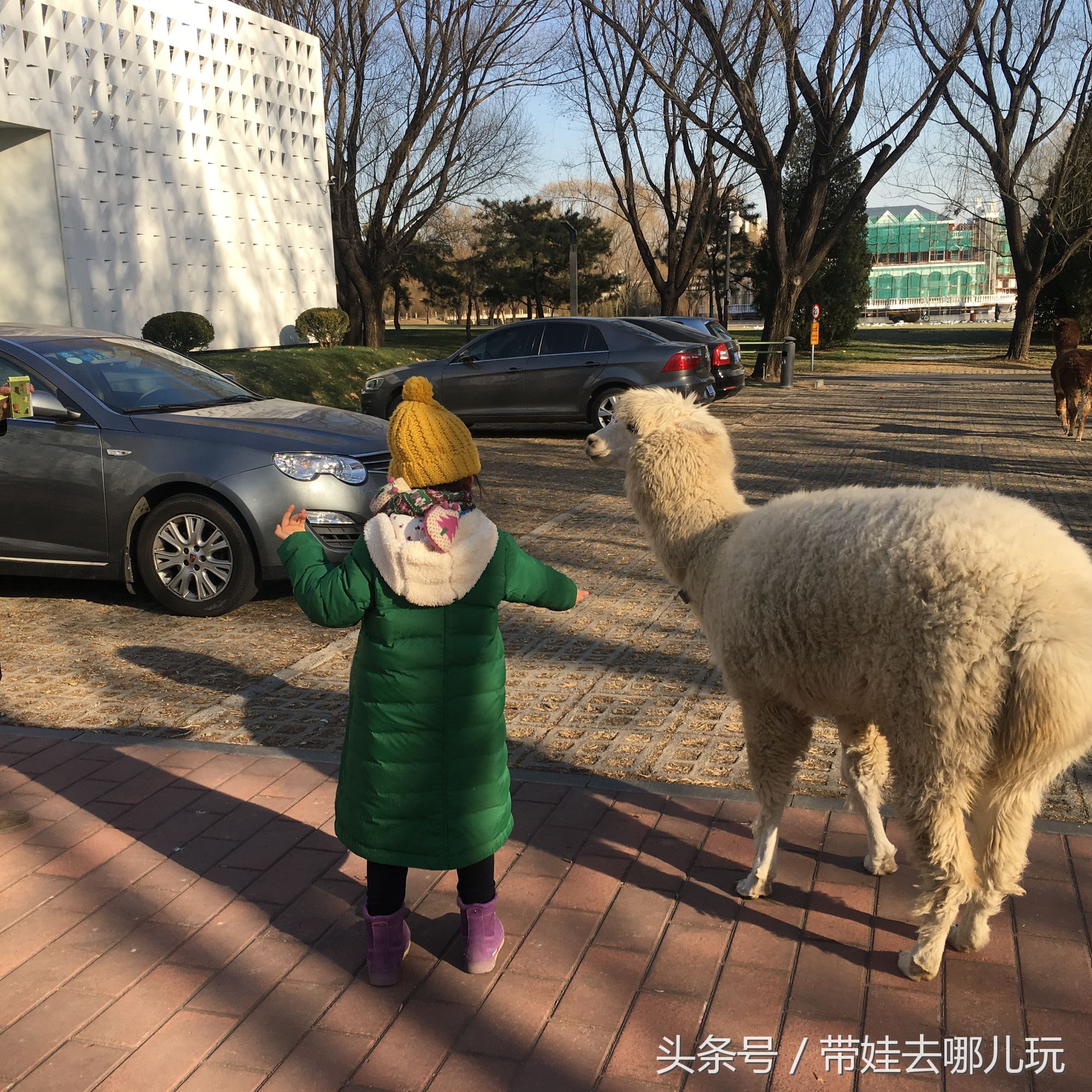 奥森附近小动物乐园,奥森公园世外桃源