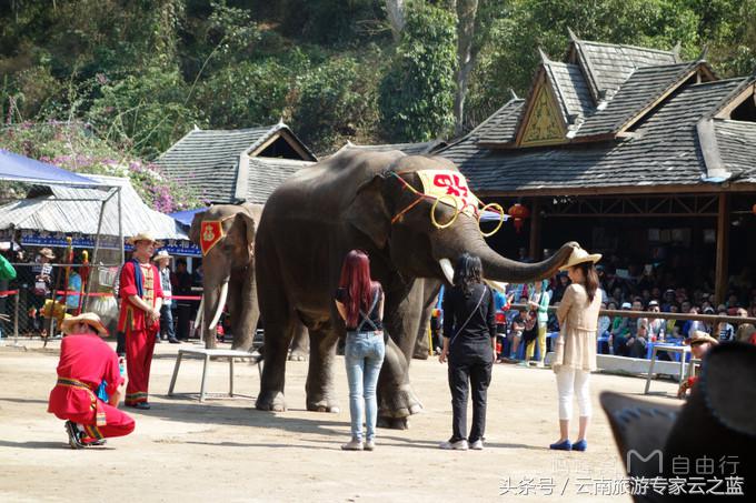 西双版纳穿越热带雨林攻略,西双版纳雨林旅游攻略