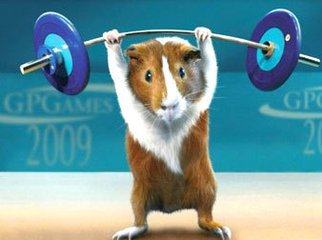 十二星座天蝎练田径行吗,十二星座适合当什么运动员