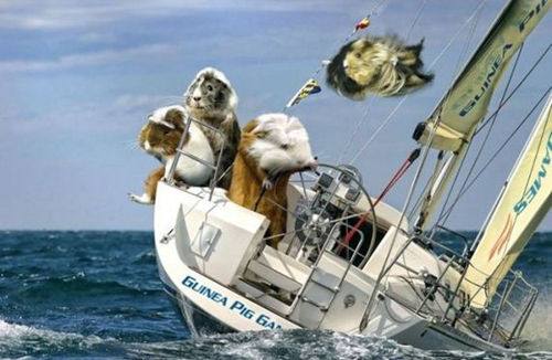 十二星座天蝎练田径行吗,十二星座适合当什么运动员