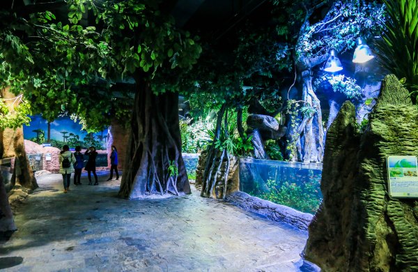 杭州极地海洋公园占地面积,杭州极地海洋公园什么时候建成