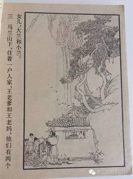 怀旧情结：小时候最大的梦想，是拥有一朵马兰花