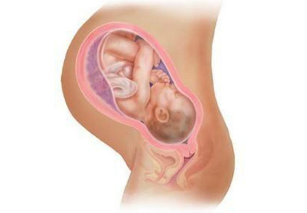 孕晚期肚子发硬怎么回事胎动多,孕晚期肚子发硬怎么回事还有腰痛