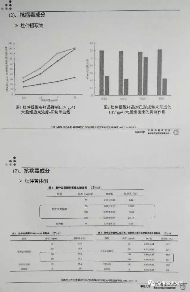 现代药理学表明杜仲具有三降「血压、血糖、血脂」、四抗、五护！
