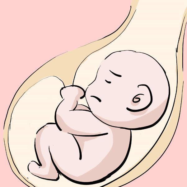 所有的胎梦都是预示女孩,胎梦准吗各种胎梦是女儿