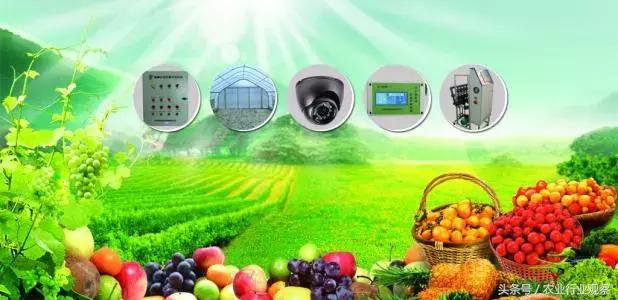 创业小项目农业互联网,农业零成本创业新点子