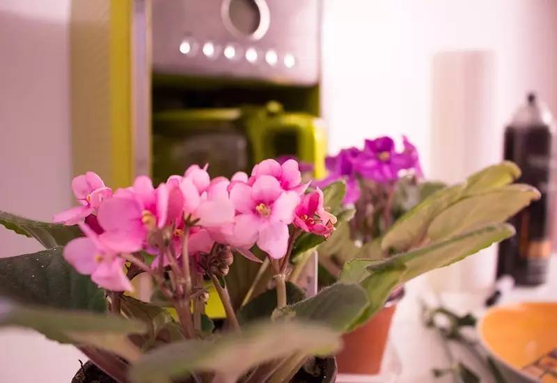 好看又特别的纹身贴,纹身贴ins高颜值爆款卡通图案